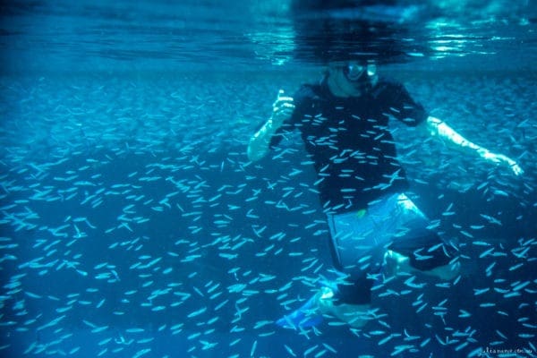 Underwater Photography of man with fish