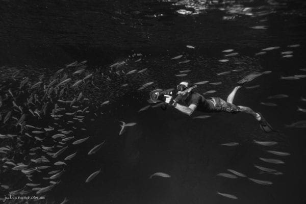 underwater photography of Michael Smith from Into The Wild Photography