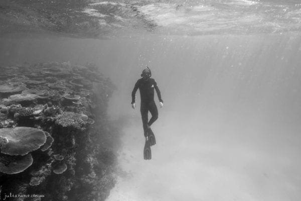 underwater photography of man at Great Barrier Reef