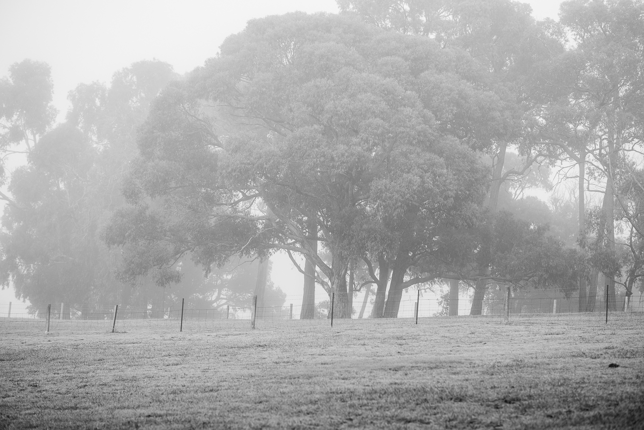 Studio_DSC1963