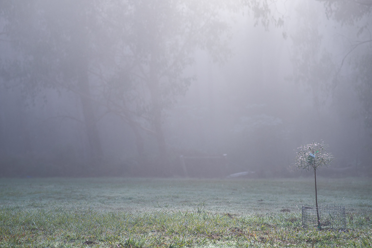 Studio_DSC2034