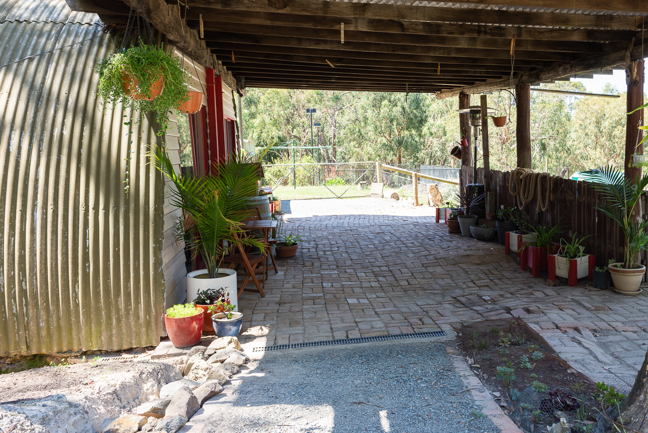 Studio_DSC8051_1
