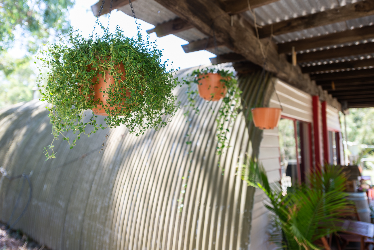 Studio_DSC8055_1
