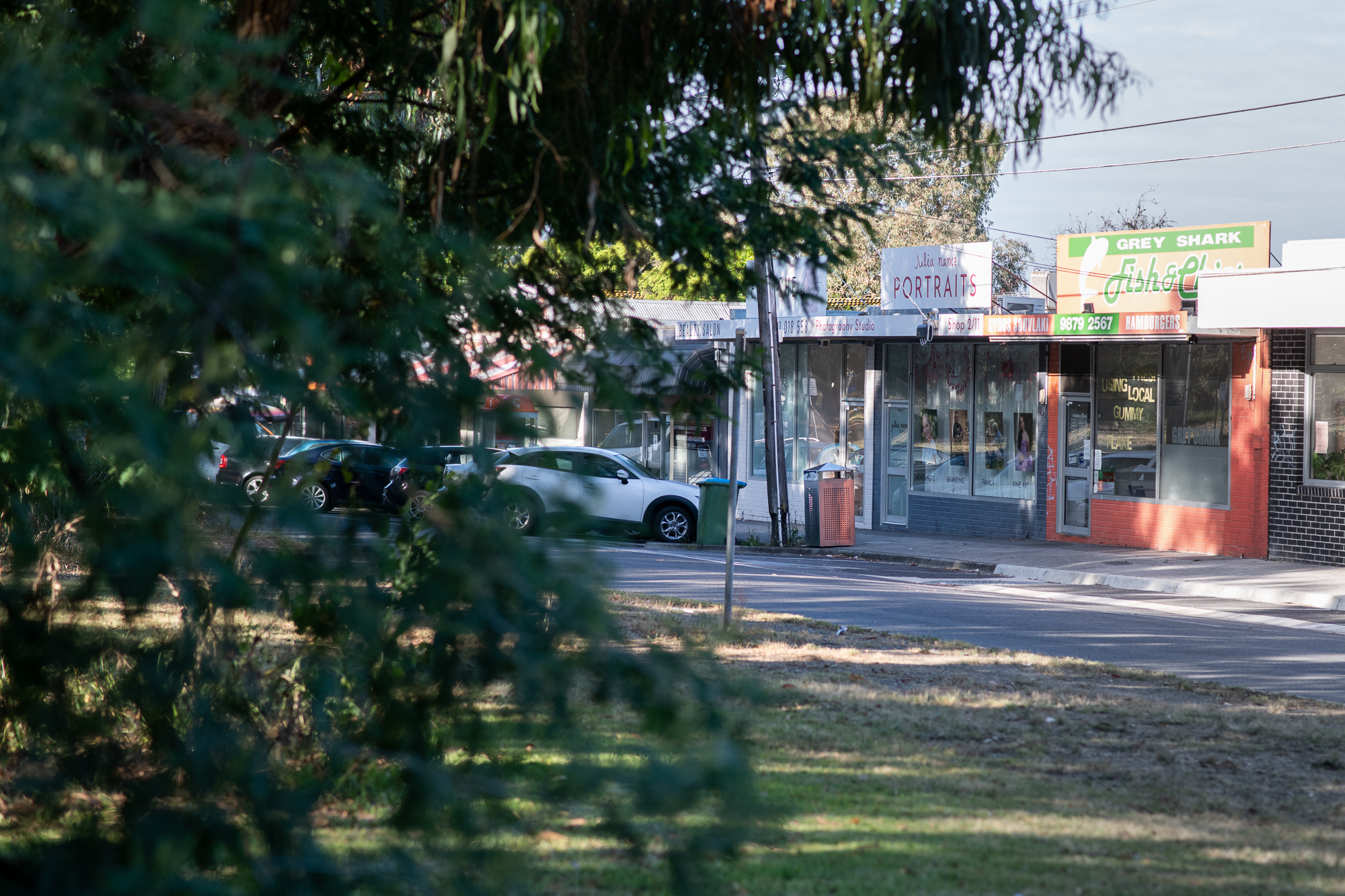 The studio surrounds of the Julia Nance Portraits photography studio. Image shows australian trees and fauna in the foreground and the Old Lilydale Road shops in the background.